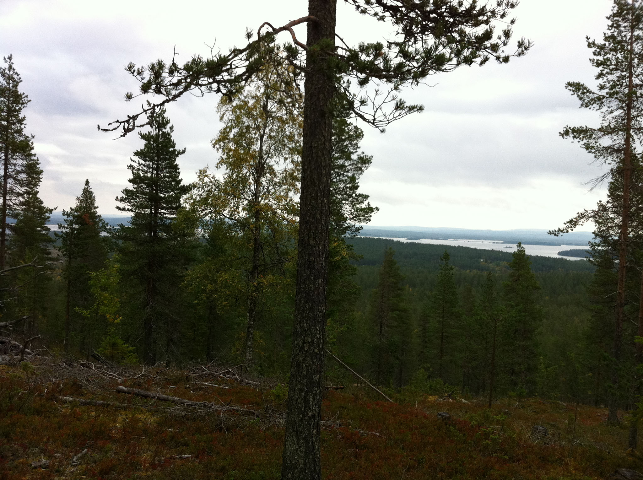 Vihertyö Mattila, piha ja kivityöt